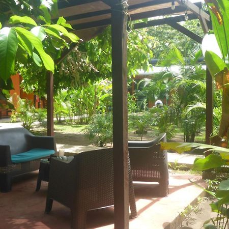 Aracari Garden Hostel Tortuguero Dış mekan fotoğraf