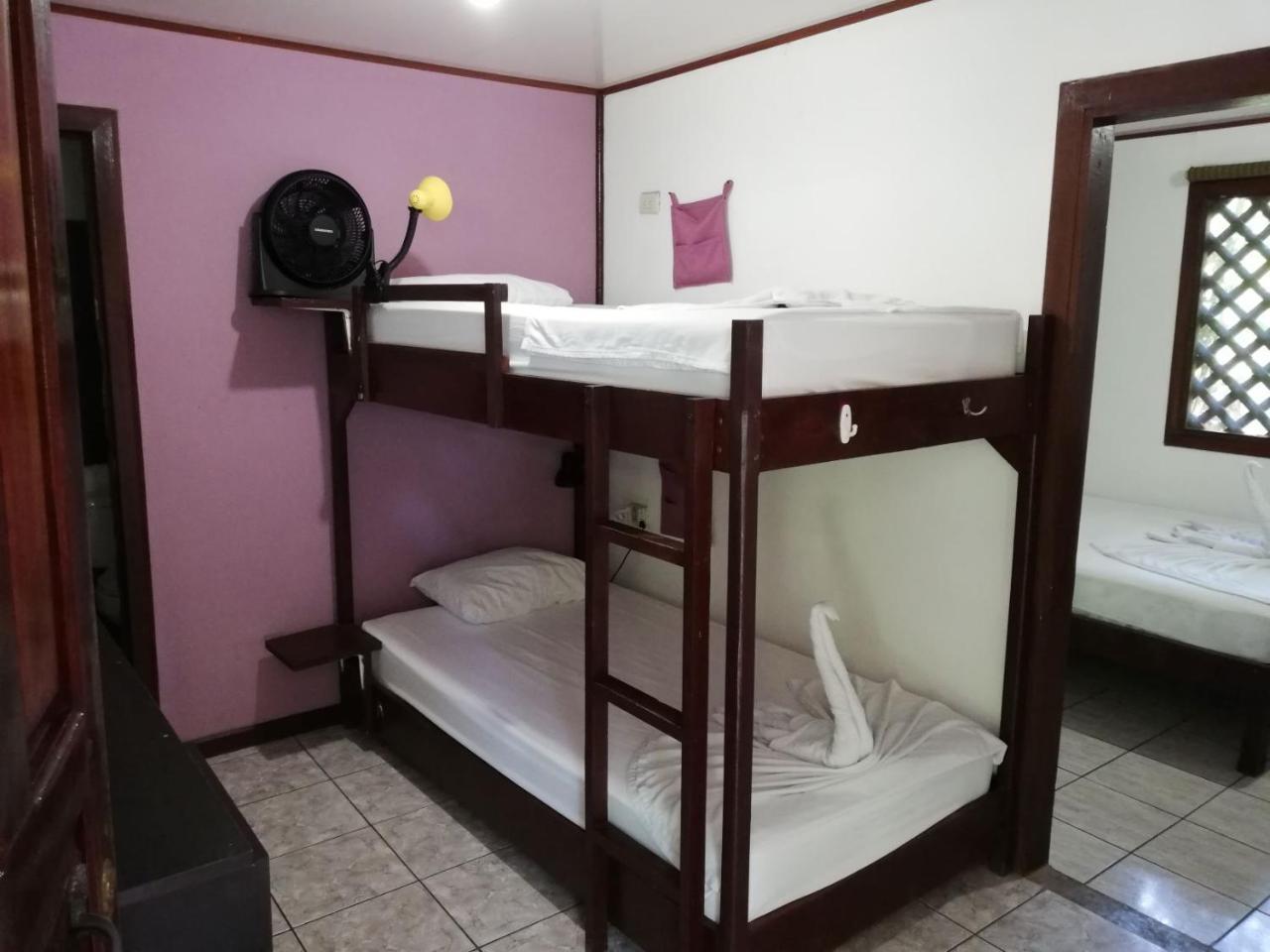 Aracari Garden Hostel Tortuguero Dış mekan fotoğraf