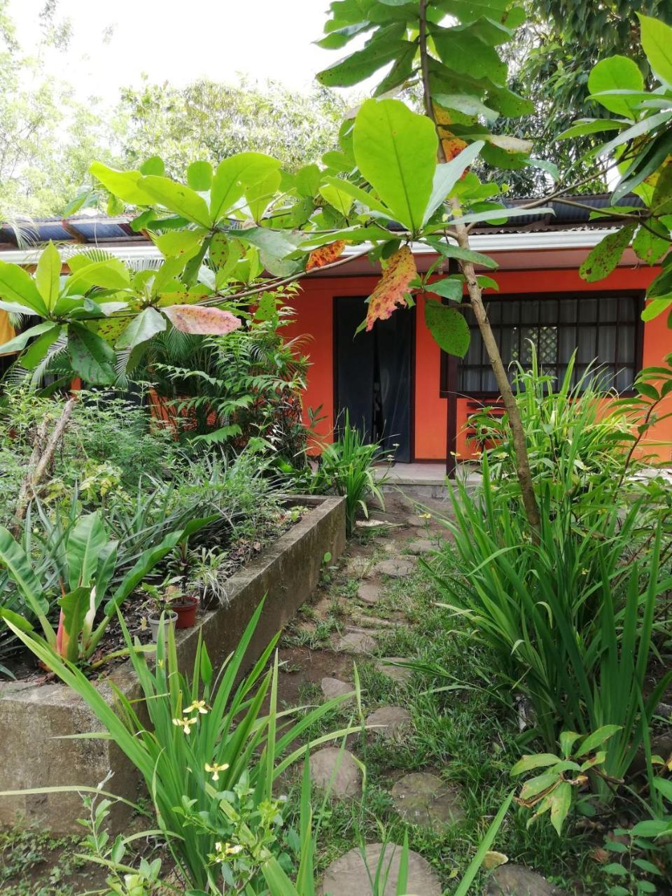 Aracari Garden Hostel Tortuguero Dış mekan fotoğraf