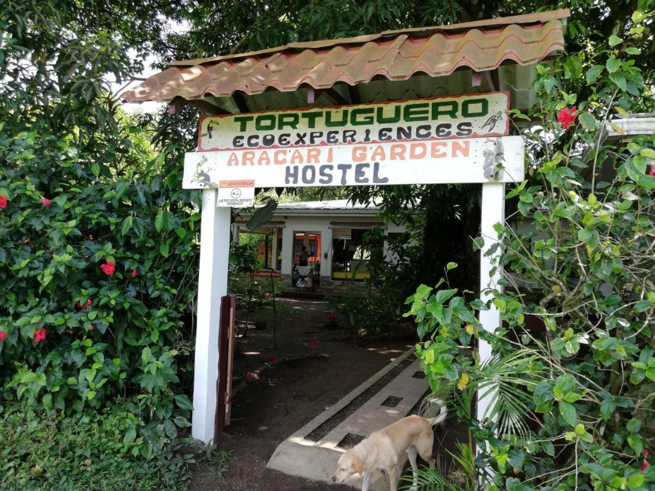 Aracari Garden Hostel Tortuguero Dış mekan fotoğraf