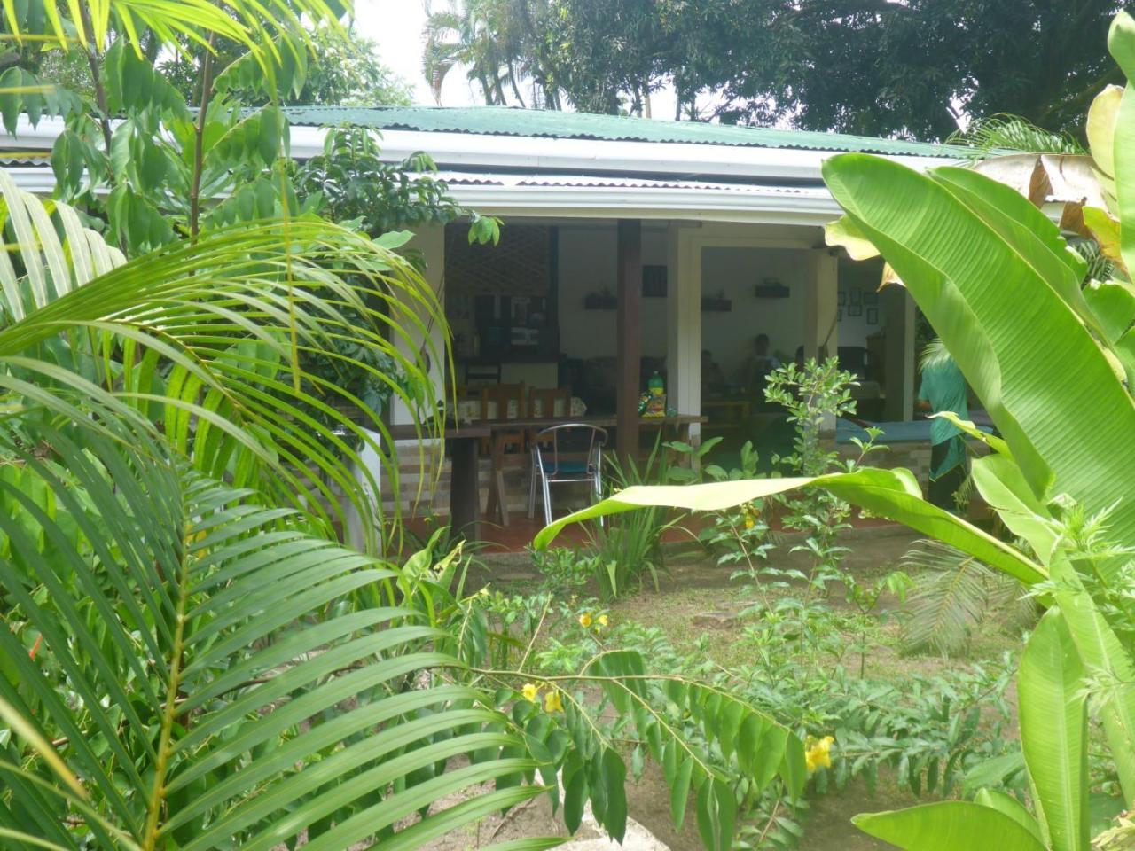 Aracari Garden Hostel Tortuguero Dış mekan fotoğraf