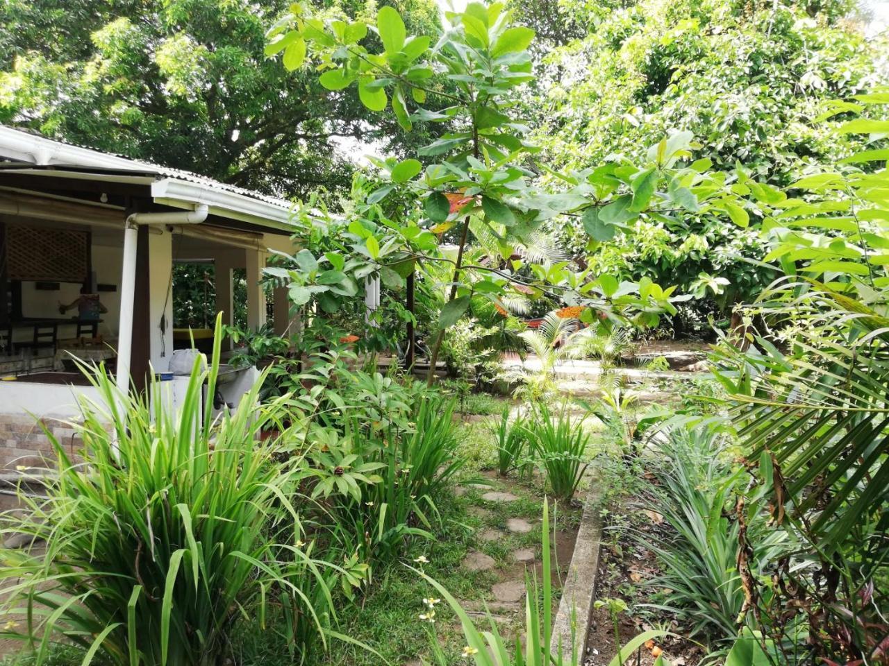 Aracari Garden Hostel Tortuguero Dış mekan fotoğraf