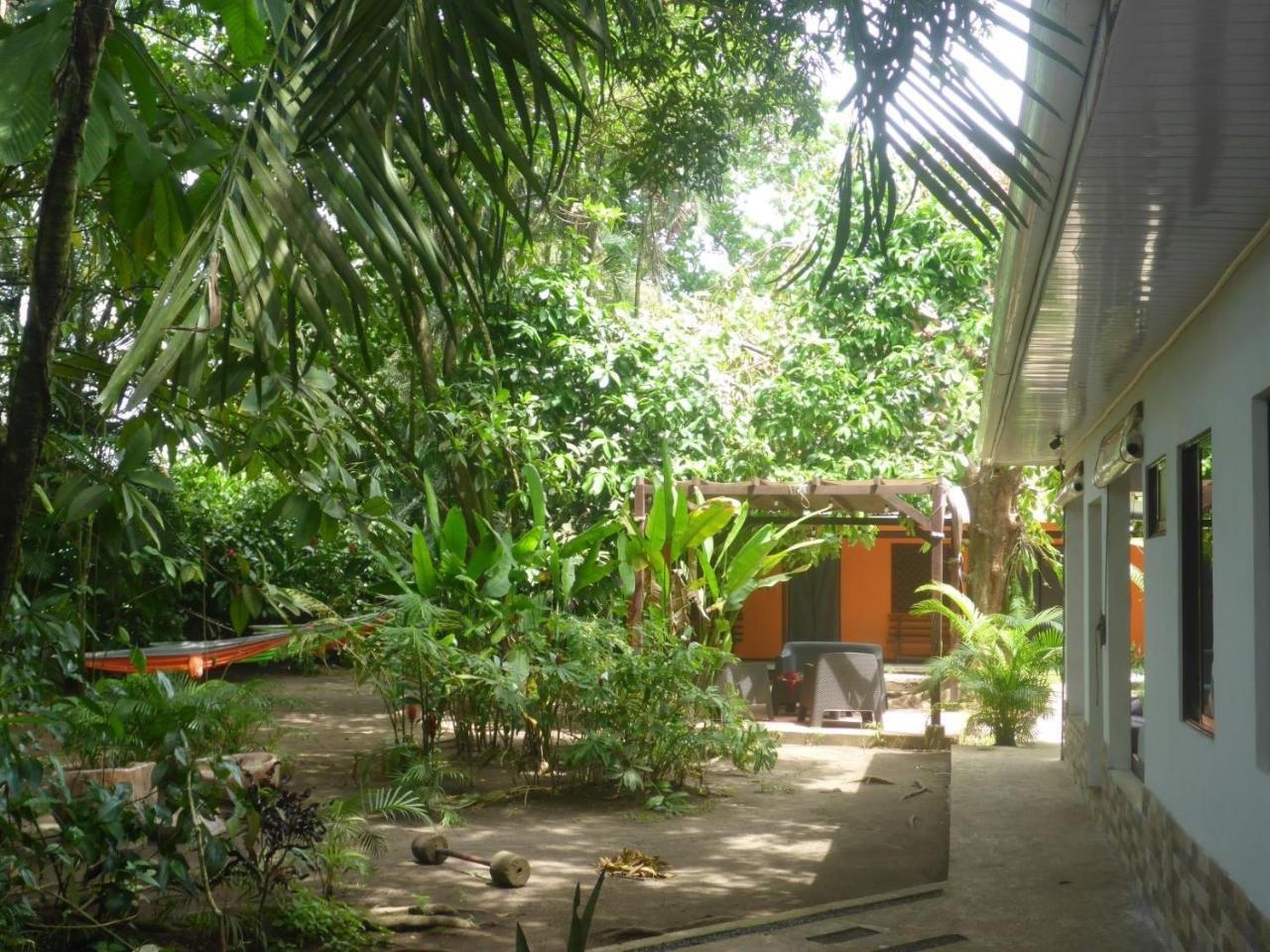 Aracari Garden Hostel Tortuguero Dış mekan fotoğraf