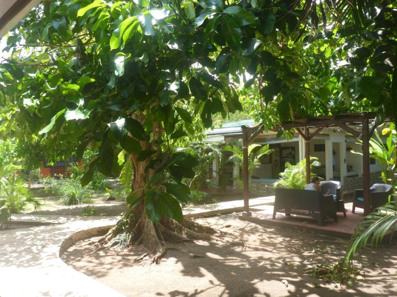 Aracari Garden Hostel Tortuguero Dış mekan fotoğraf