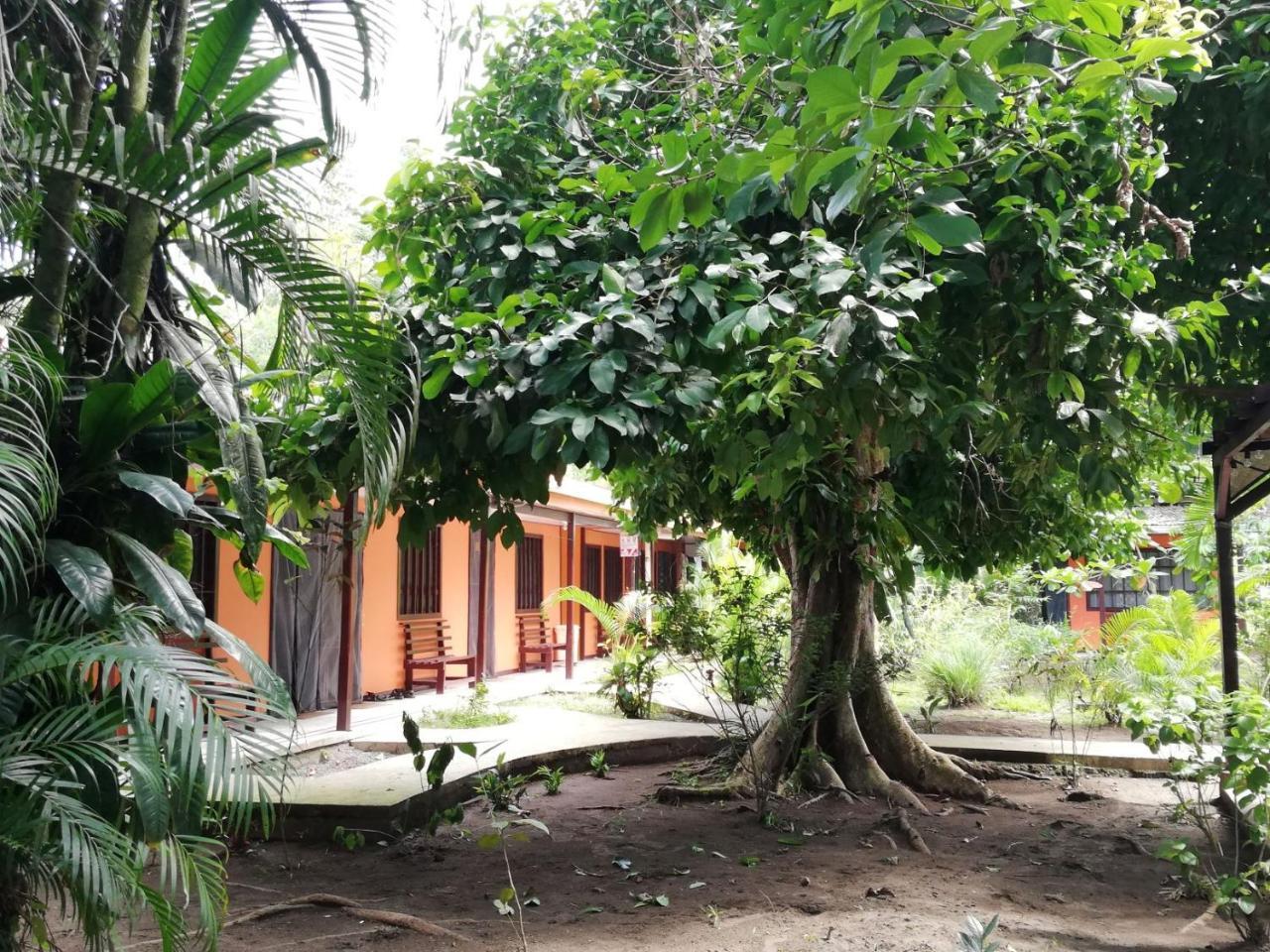 Aracari Garden Hostel Tortuguero Dış mekan fotoğraf