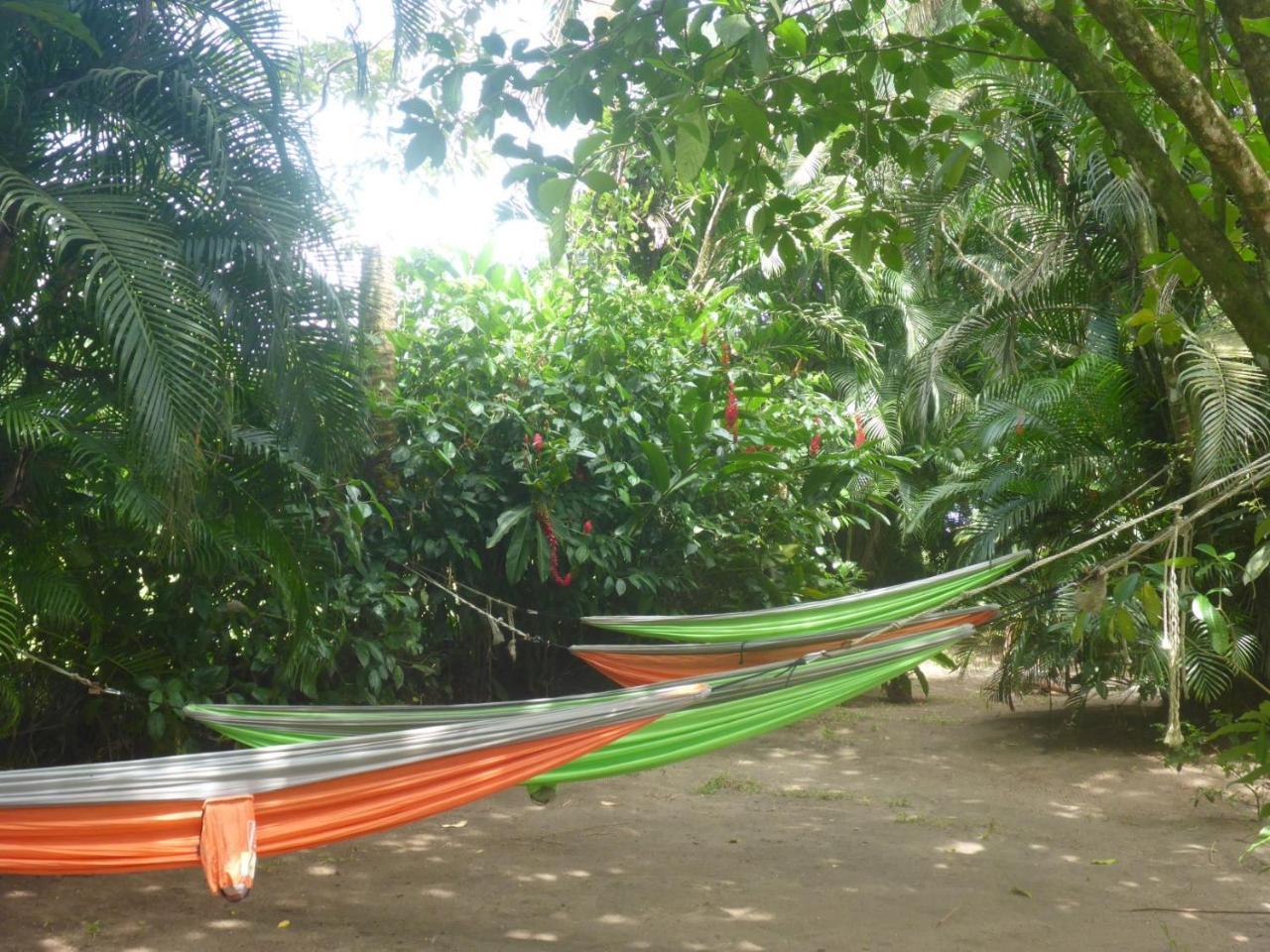 Aracari Garden Hostel Tortuguero Dış mekan fotoğraf