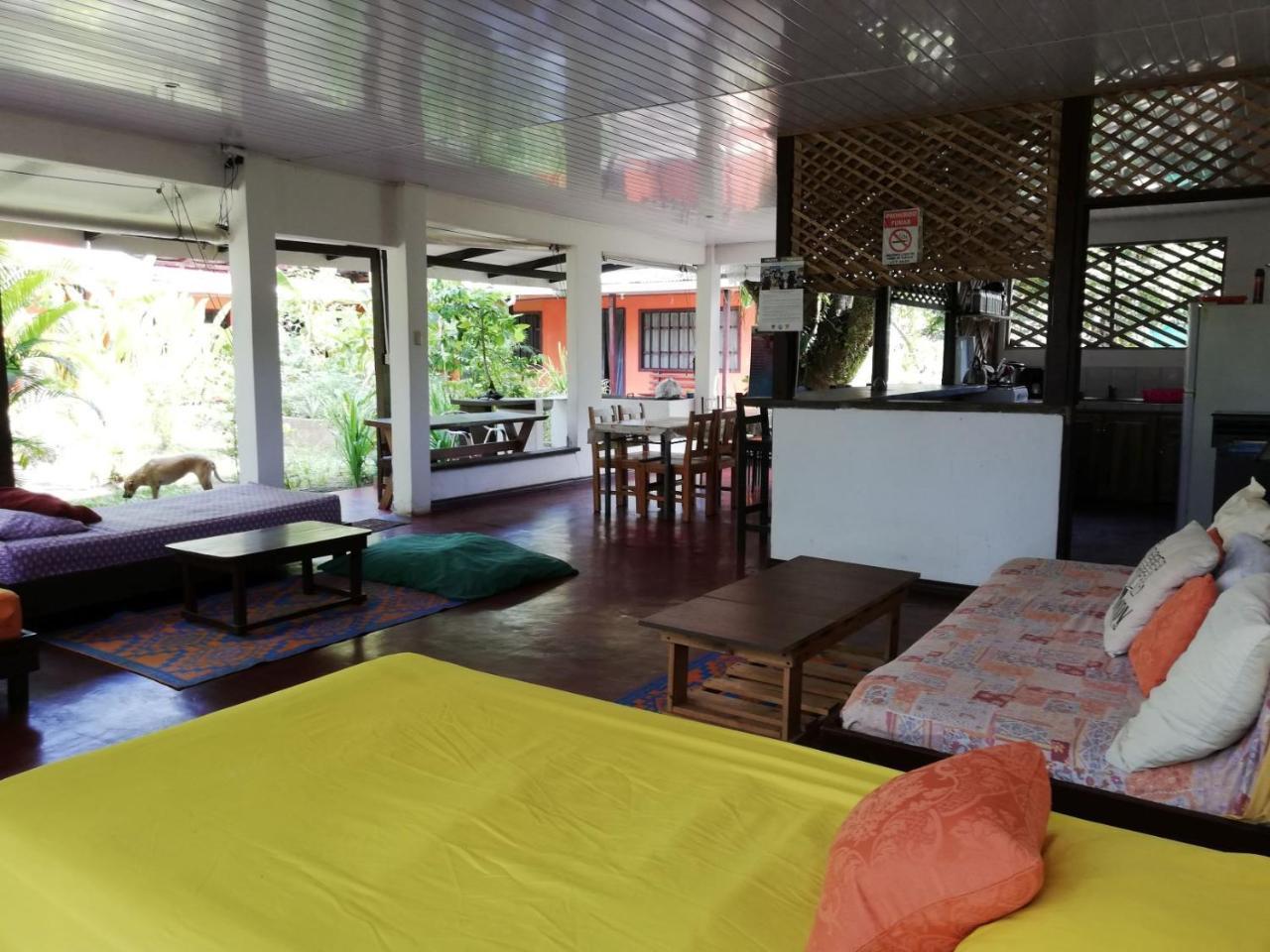 Aracari Garden Hostel Tortuguero Dış mekan fotoğraf