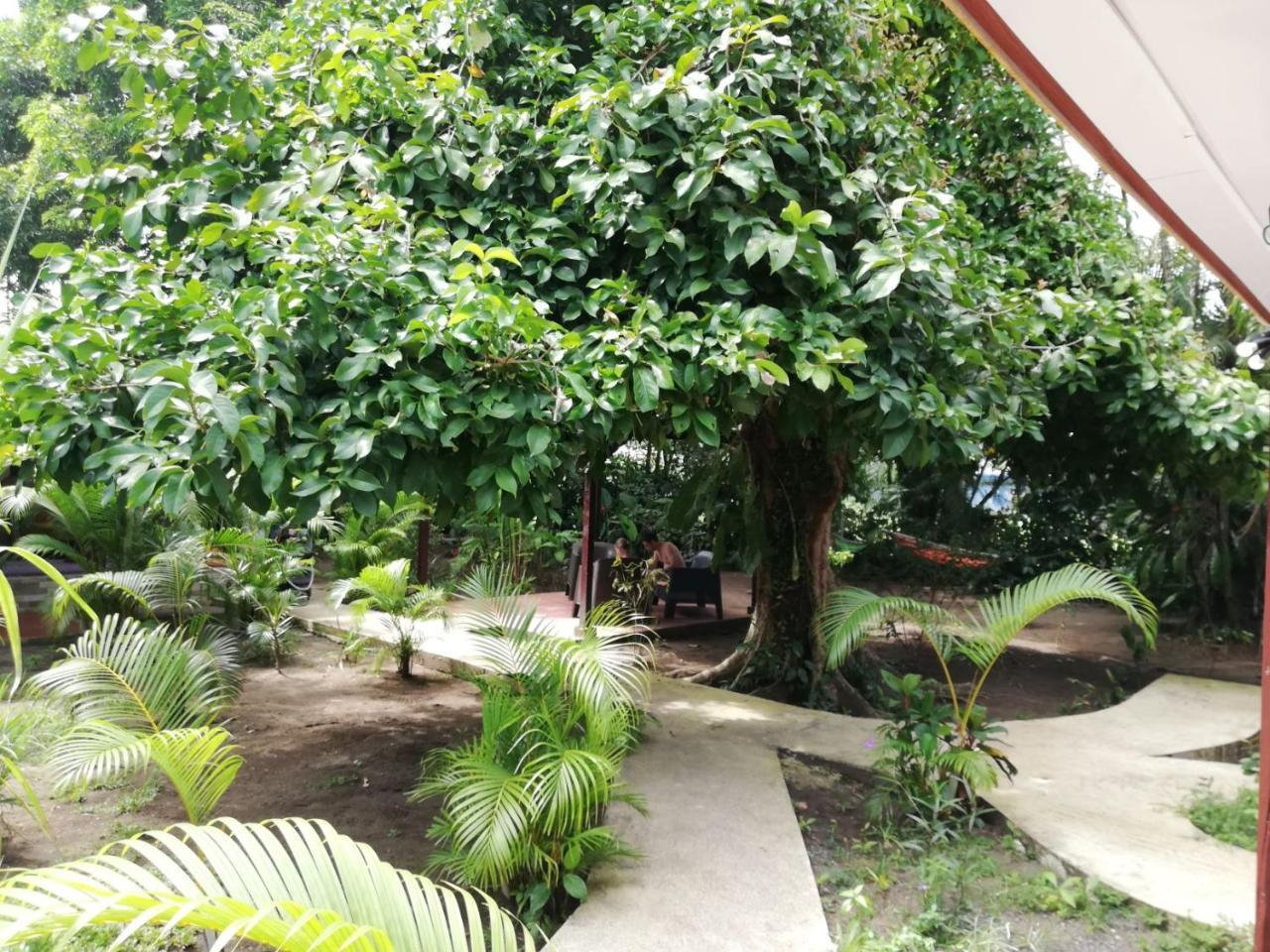 Aracari Garden Hostel Tortuguero Dış mekan fotoğraf